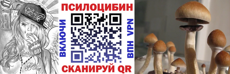 omg ONION  Шумиха  Галлюциногенные грибы ЛСД 