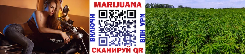 Бошки марихуана LSD WEED  кракен ССЫЛКА  Шумиха 